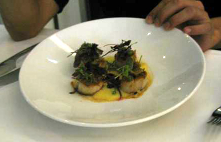 Lure Scallops